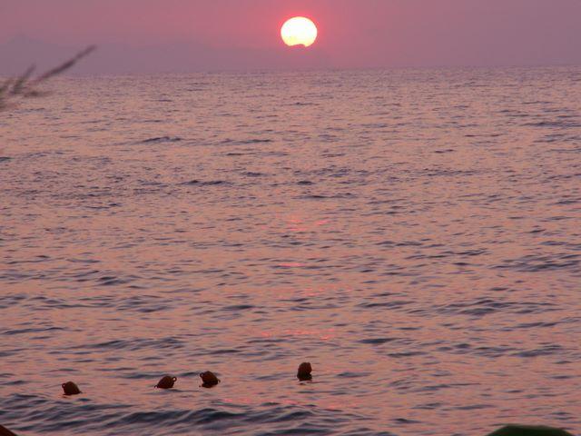 pict2706.jpg
