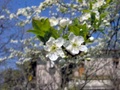 aprile_011.jpg
