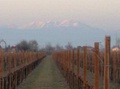 febbario2005_0251.jpg
