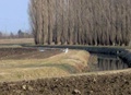 febbraio_bis_059.jpg