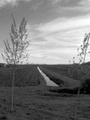 im001011-1.jpg