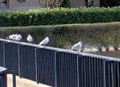 marzo_045.jpg