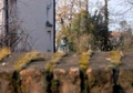 marzo_056.jpg