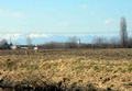 marzo_092.jpg