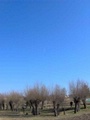 marzo_095.jpg