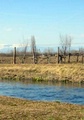 marzo_123.jpg