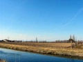 marzo_129.jpg