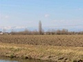 marzo_130.jpg