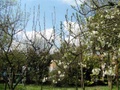 pict0060.jpg