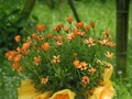 pict0480.jpg