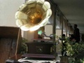 pict0481.jpg