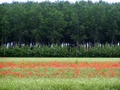 pict1077.jpg