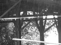 pict1183.jpg