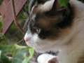 pict1277.jpg