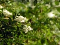 pict1712.jpg